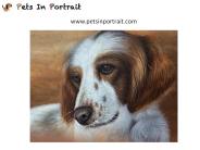Pet Portraits from Photos