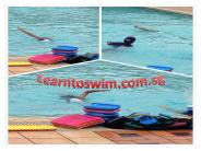 swimming complex  singapore - Adult swimming classes