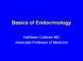 Basics of Endocrinology PowerPoint PPT Presentation