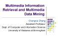 Multimedia Information Retrieval and Multimedia Data Mining PowerPoint PPT Presentation