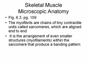 Skeletal Muscle Microscopic Anatomy