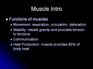 Muscle Intro