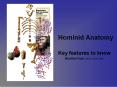 Hominid Anatomy PowerPoint PPT Presentation