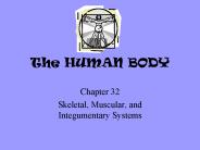 The HUMAN BODY