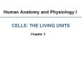 Human Anatomy and Physiology I PowerPoint PPT Presentation