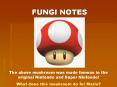 FUNGI NOTES PowerPoint PPT Presentation