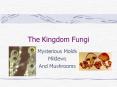 The Kingdom Fungi PowerPoint PPT Presentation