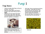 Fungi 1