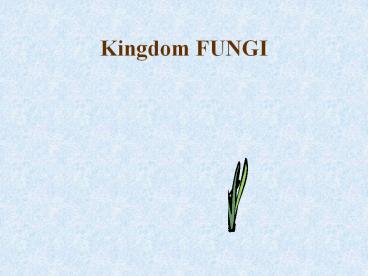 Kingdom%20FUNGI
