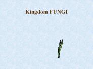 Kingdom%20FUNGI
