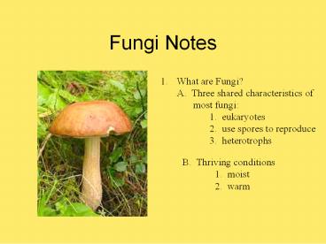 Ppt Fungi Notes Powerpoint Presentation Free To View Id 7fc13d N2nho