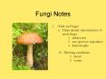 Fungi Notes PowerPoint PPT Presentation