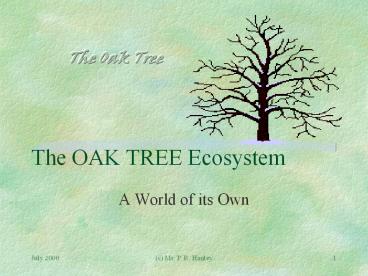 presentation player overlay