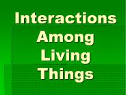 Interactions Among Living Things