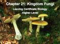 Chapter 21: Kingdom Fungi PowerPoint PPT Presentation