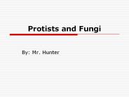 Protists and Fungi