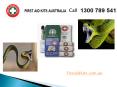 First aid for Snake bite - First Aid Kits Australia PowerPoint PPT Presentation