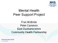 Mental Health Peer Support Project PowerPoint PPT Presentation
