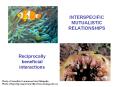 INTERSPECIFIC MUTUALISTIC RELATIONSHIPS PowerPoint PPT Presentation