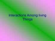 Interactions Among living Things