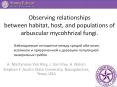 Observing relationships between habitat, host, and populations of arbuscular mycohhrizal fungi. PowerPoint PPT Presentation