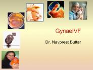 Best gynae clinic in Mohali