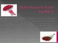 Send flowers to Pune by Winni (1) PowerPoint PPT Presentation