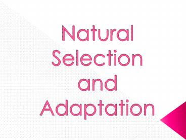Natural Selection and Adaptation