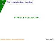 Diapositiva 1