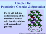 Chapter 16: Population Genetics