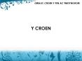 Y CROEN PowerPoint PPT Presentation