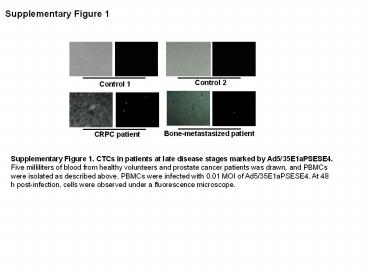 Supplementary Figure 1