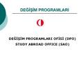 DEGISIM PROGRAMLARI PowerPoint PPT Presentation