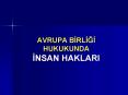 AVRUPA BIRLIGI HUKUKUNDA INSAN HAKLARI PowerPoint PPT Presentation