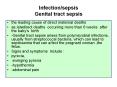 Infection/sepsis Genital tract sepsis PowerPoint PPT Presentation