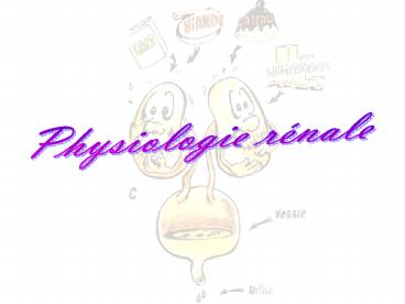Physiologie r