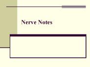 Nerve Notes