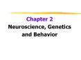 Neuroscience, Genetics PowerPoint PPT Presentation
