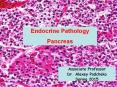 Endocrine Pathology PowerPoint PPT Presentation