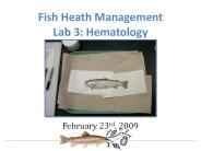 Fish Heath Management Lab 3: Hematology