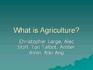 What is Agriculture?