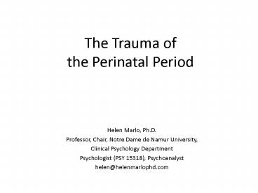 The Trauma of the Perinatal Period