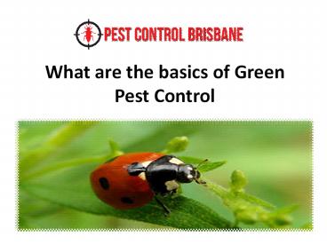 What are the basics of Green Pest Control presentation | free to download
