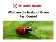 What are the basics of Green Pest Control