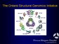 The Ontario Structural Genomics Initiative PowerPoint PPT Presentation