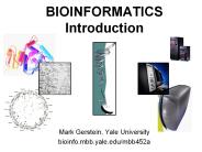 BIOINFORMATICS%20Introduction
