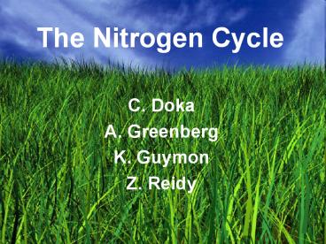 The Nitrogen Cycle