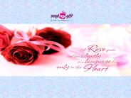 Perfect Rose Gift For Valentine - 2016