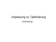 Anpassung vs. Optimierung