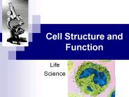 Cell Structure and Function